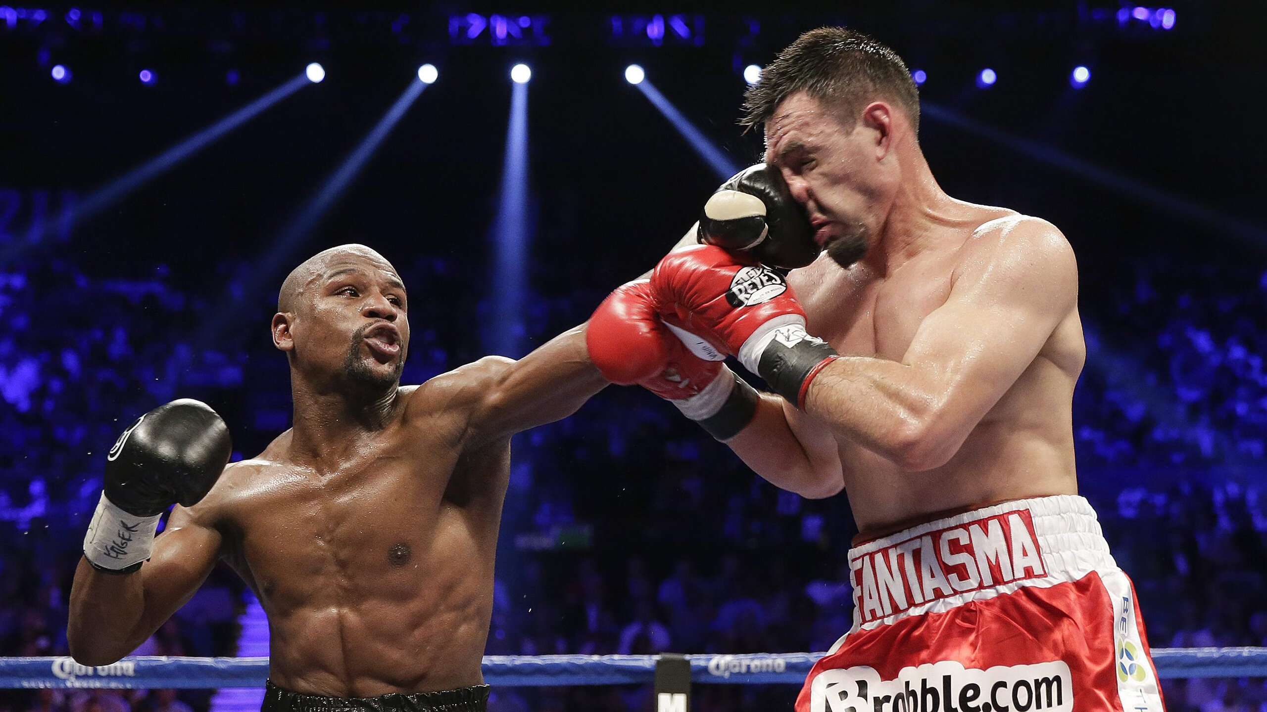 米尔沃尔反击犀利，狮子军团积极抢分，米尔沃尔球迷