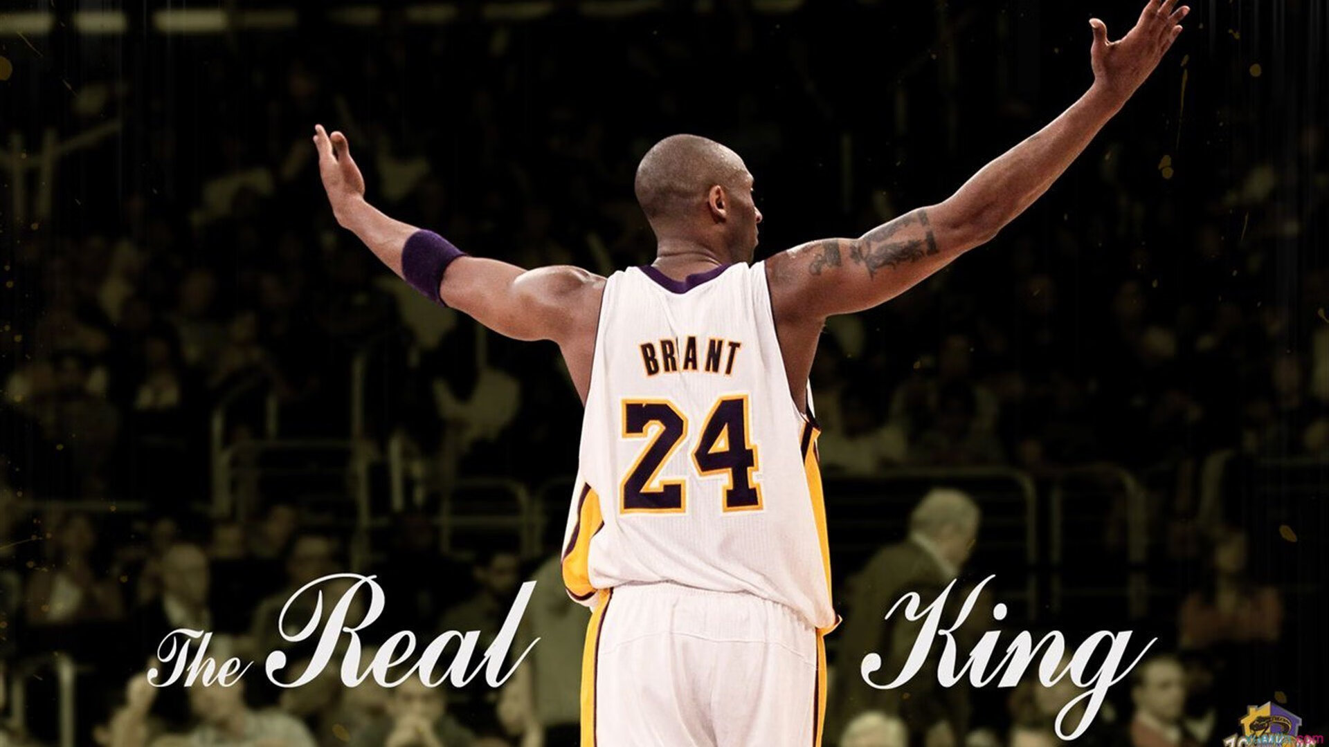 王者荣耀 赛事观赛人数不断攀升，王者荣耀观赛任务为什么完成不了